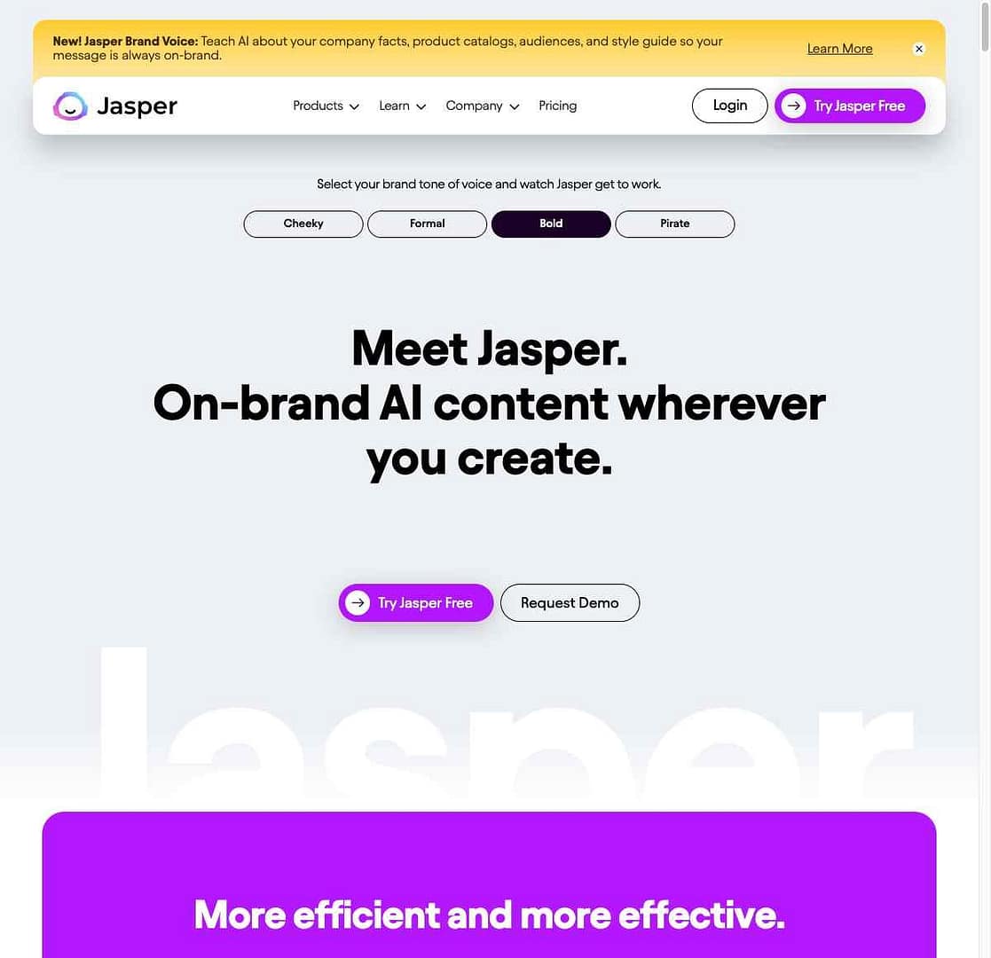 Preview of Jasper Website Homepage